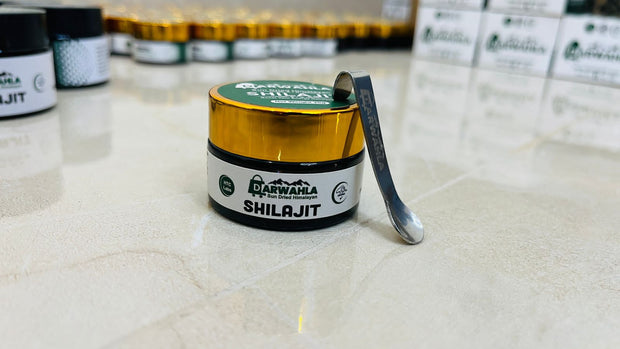 Shilajit (10g)